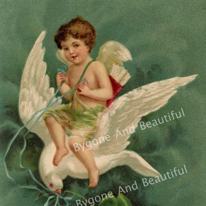 Antique Valentine's Day Postcard Cupid Dove Love Friendship Romance Junk Journal Scrapbook Digital Download