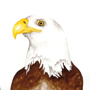 Original Bald Eagle Watercolor Painting