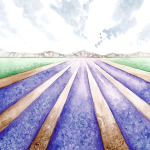 Original Lavender Field Watercolor Painting