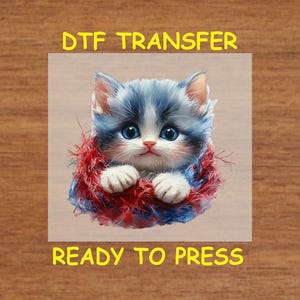 May include: A blue and white kitten wearing a red and blue fuzzy scarf. The image is labeled "DTG Transfer" and "Ready to Press".