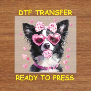 Valentine&#39;s Day DTF Transfer Iron On Heat Transfer - Ready to Press Hot Peel, Border Collie Dog with Heart Glasses Design, Valentine DTF
