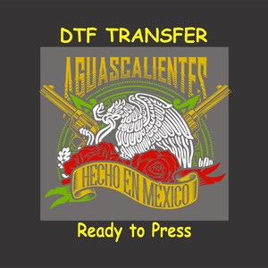 Mexican Heritage DTF Transfer Iron On Heat Transfer - Ready to Press, Aguascalientes DTF Transfer- Ready to Press Mexican Heritage DIY Shirt