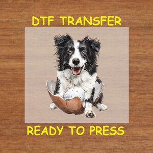Easter DTF Transfer Iron On Heat Transfer - Ready to Press, Border Collie Easter Design Hot Peel Transfer DIY Shirt