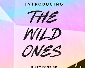 The Wild Ones Font - Marker Font, Handwritten Brush Font, Urban Font, Masculine Font, Procreate Font, Hipster Font, Modern Font, Cool Font