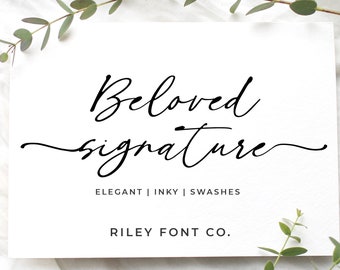 Beloved Signature Font - Signature Logo Font, Cricut Font with Tails, Wedding Swash Font, Bouncy Modern Calligraphy, Inky Font, Chic Font