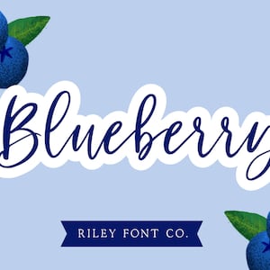 Blueberry Font - Bouncy Modern Calligraphy Script, Procreate Font, Cricut Font, Wedding Font, Craft Font, Chic Font, Commercial Use Font