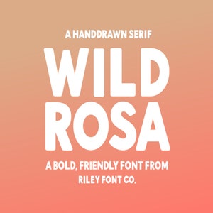 Wild Rosa Font - Bold Sans Font, Logo Font, Modern Font, Bold Font, Cool Font, Fun Font, Procreate Font, Cricut Font, Commercial Use Font