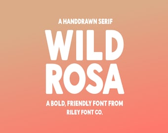 Wild Rosa Font - Bold Sans Font, Logo Font, Modern Font, Bold Font, Cool Font, Fun Font, Procreate Font, Cricut Font, Commercial Use Font