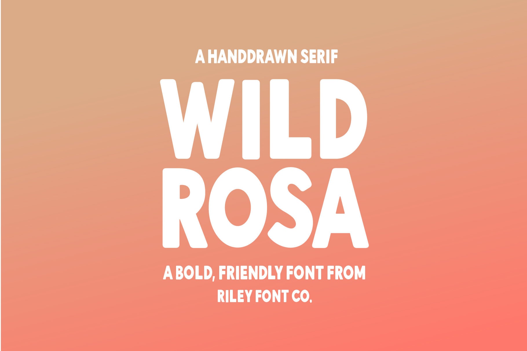 Wild Rosa Font - Bold Sans Font, Logo Font, Modern Font, Bold Font, Cool Font, Fun Font, Procreate Font, Cricut Font, Commercial Use Font