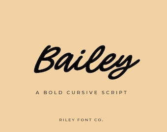 Bailey Font - Bold Script Font, Cricut Font, Thick Cursive Font, Cute Boho Font, Handwritten Logo Font, Name Font, Commercial Use Font
