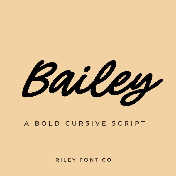 Bailey Font - Bold Script Font, Cricut Font, Thick Cursive Font, Cute Boho Font, Handwritten Logo Font, Name Font, Commercial Use Font