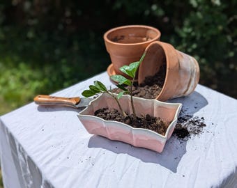 Pink Ceramic Succulent Planter: Mid Century Bonsai Dish