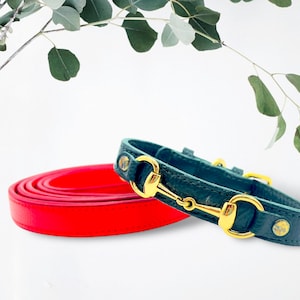 Handgefertigte Leder Hundeleine