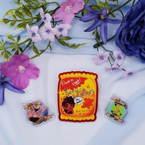 Dnd Acrylic Pin