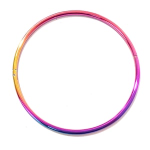 6mm Rainbow Petite Stainless Steel Discrete Locking Eternity Collar Multiple Sizes Available