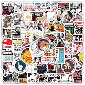 100 stks/set worstelstickers, worstelsportstickers, worsteljongenstickers, kerstgunsten, doe-het-zelf creatieve kofferbak notebookstickers