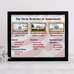 Three Branches of Government Digital Poster