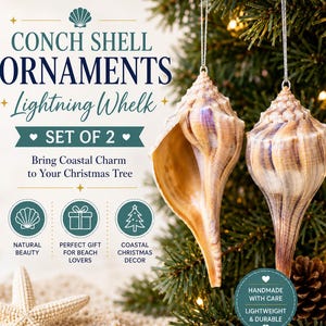 Conch Shell Christmas Ornaments Lightning Whelk Set of 2 Natural Tropical Coastal Beach Holiday Tree Decor 25