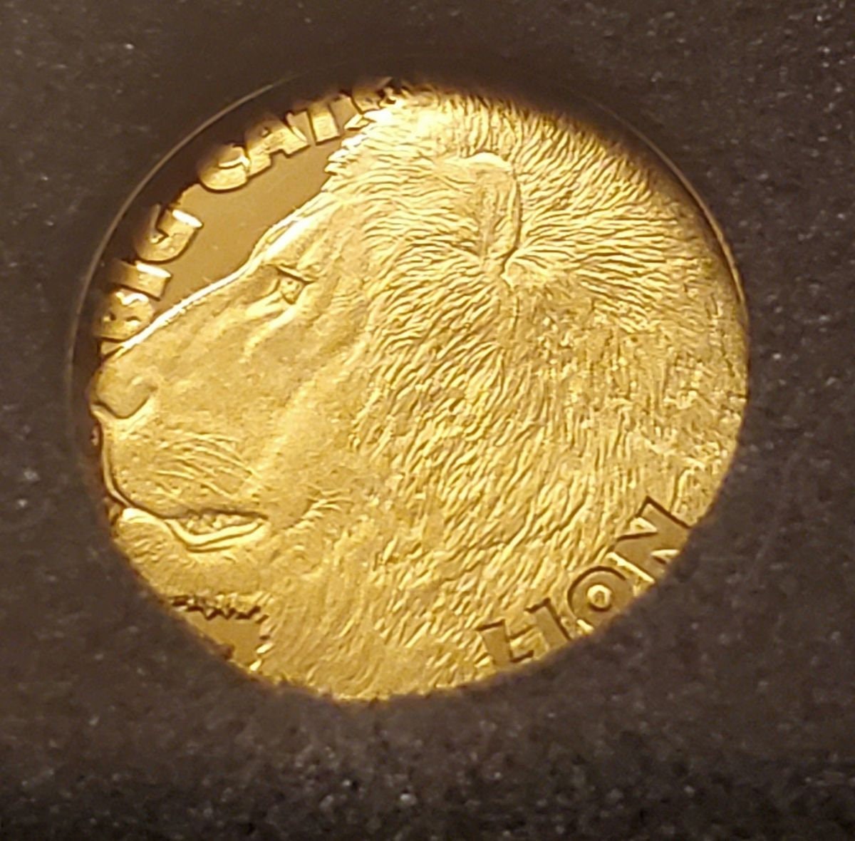 2020 Big Cats LION 1/2 Gram Gold Coin - Etsy