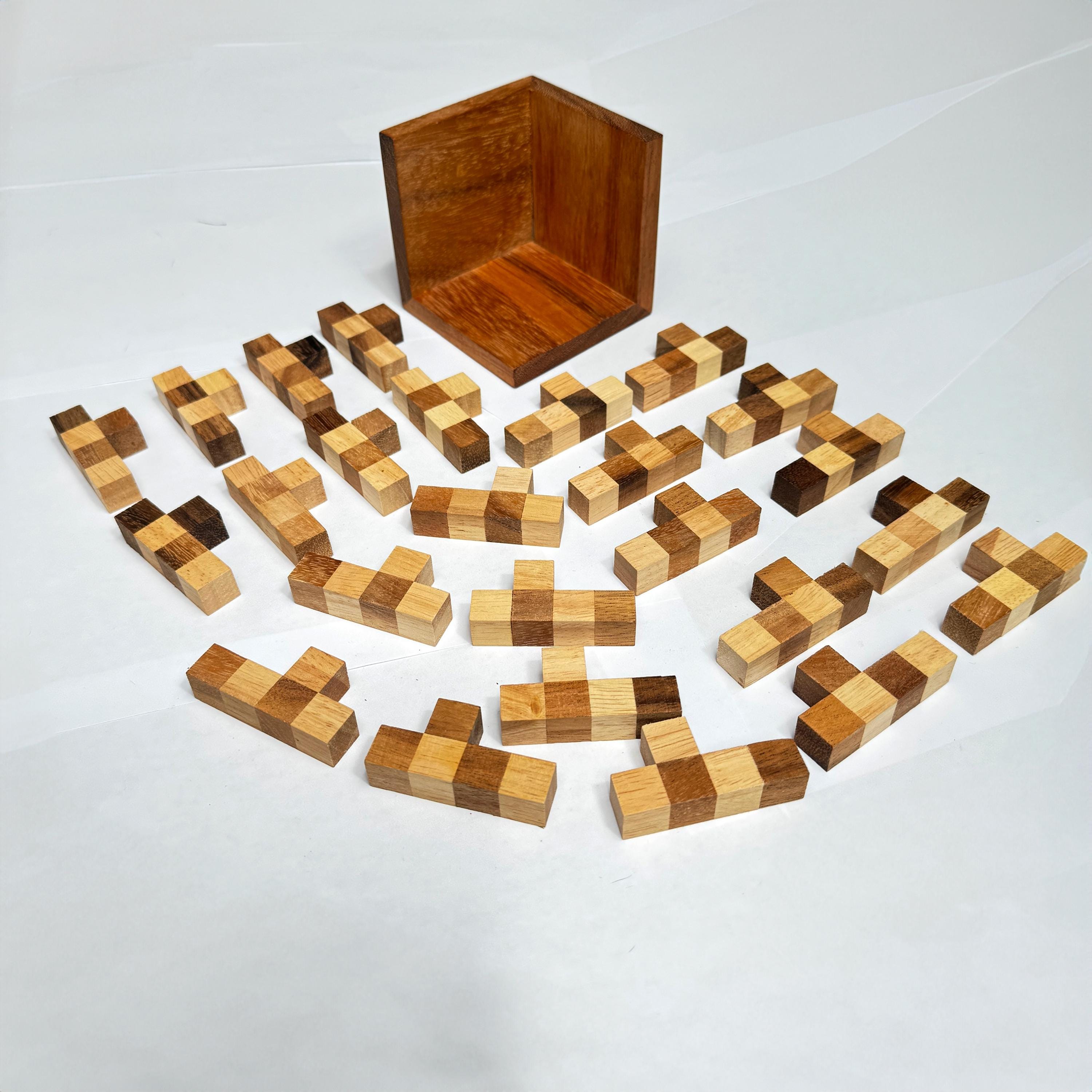 3D Wooden Brain Teaser Puzzles, IQ Test Mind Game Jigsaw, Intelligence