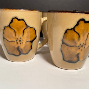 Set of 2 Pfaltzgraff Painted Poppies Mugs