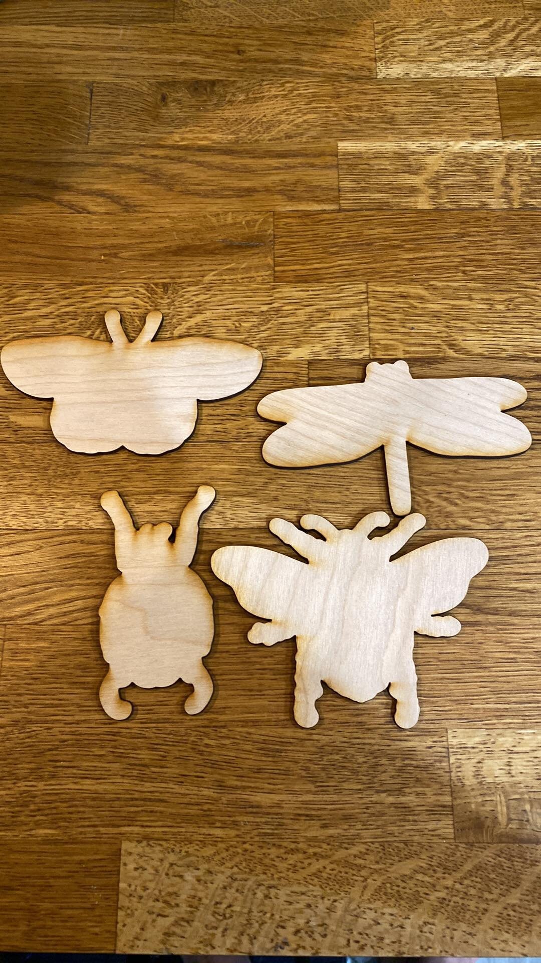 Etched Bugs, Chalk Couture, DIY Etsy