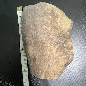 Antler- Moose,  Elk, Deer For Aggressive Chewers