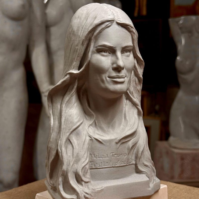 Trump in christmas lights