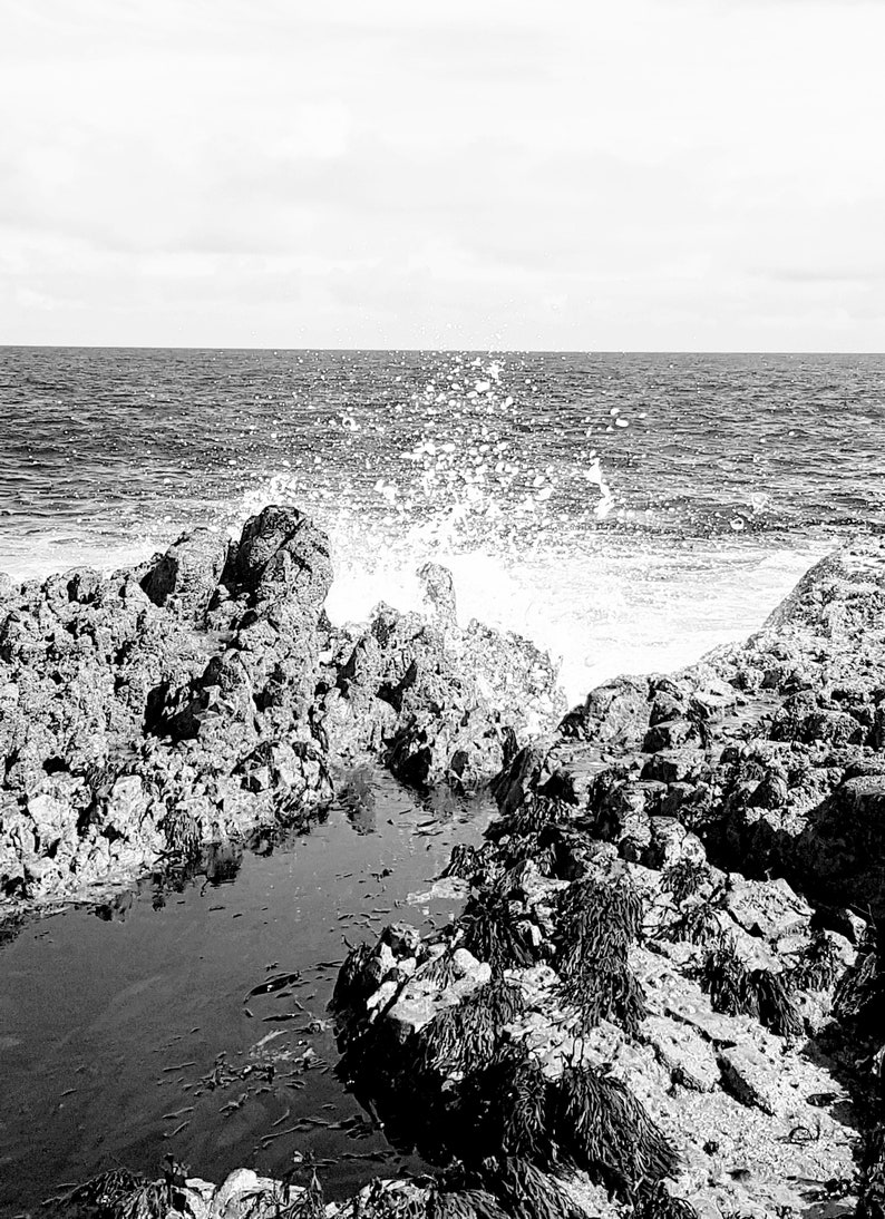 Pu&ograve; includere: Fotografia in bianco e nero di onde oceaniche che si infrangono contro rocce frastagliate. L'acqua spruzza verso l'alto, creando una scena dinamica. Le rocce sono coperte di alghe e il cielo &egrave; nuvoloso.