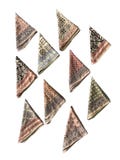 Unique Bulk Bandanas Set of 10 Organic Cotton Bandana Bandana Scarf, Paisley Design Scarf, Vibrant Color, High-Quality