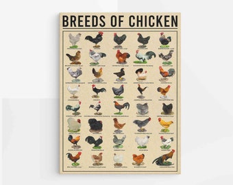 Breeds Of Chicken Canvas, Chicken Poster, Animal Farmhouse Canvas, Gift For Farmer,  Knowledge Canvas, Farm Decor, Chicken Knowledge Poster