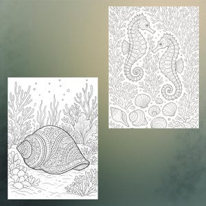 May include: Two black and white coloring pages featuring marine life. One page shows a detailed seashell surrounded by coral. The other page depicts two seahorses and several seashells amidst coral.