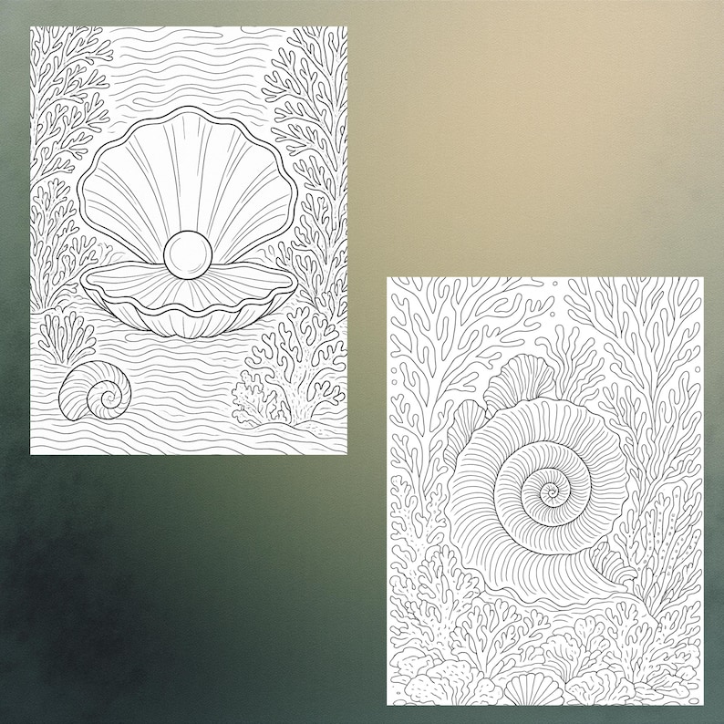 May include: Two black and white line art illustrations of marine life. One shows an open clam shell with a pearl, surrounded by coral and seaweed. The other depicts a spiral seashell with coral and seaweed.