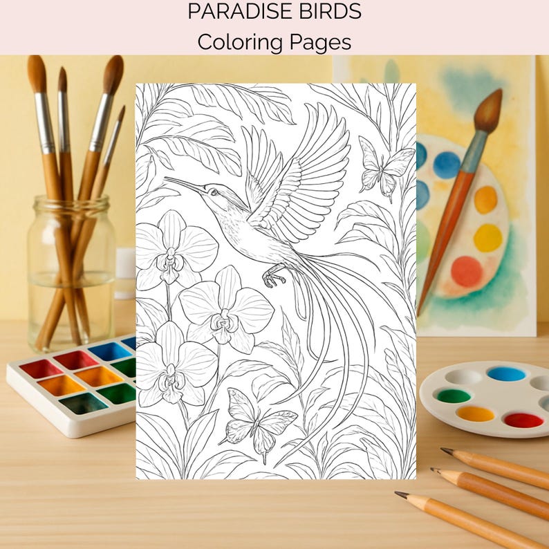 40 Birds of Paradise Coloring Pages for Adults & Kids | Tropical Bird ...