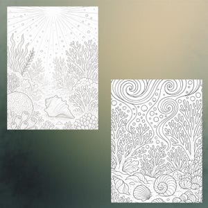 May include: Two black and white line art illustrations of underwater scenes. One features a seashell and coral with a sunburst effect. The other depicts various seashells, coral, and bubbles.