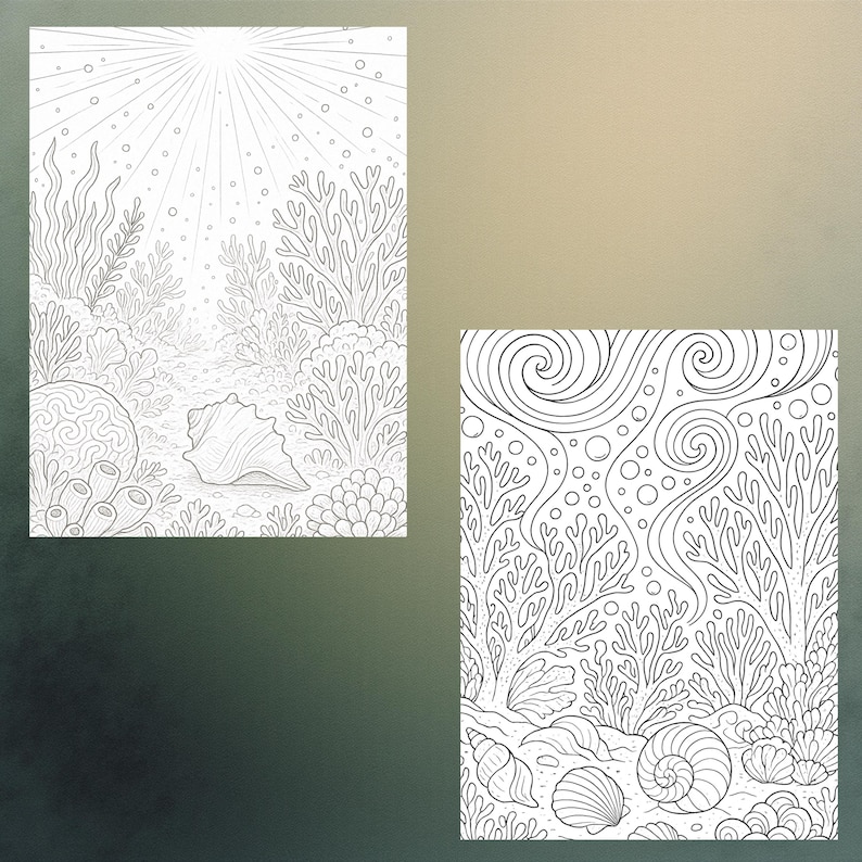 May include: Two black and white line art illustrations of underwater scenes. One features a seashell and coral with a sunburst effect. The other depicts various seashells, coral, and bubbles.