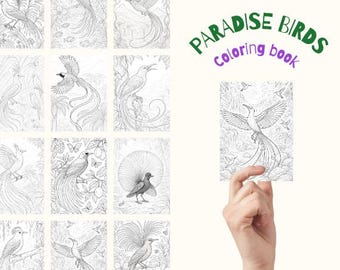 40 pagine da colorare di uccelli del paradiso per adulti e bambini | Disegni stampabili di uccelli tropicali | Libro da colorare di animali esotici | PDF sugli uccelli del paradiso