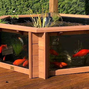 Raised Hexagon Wood Pond with Large Windows - Lily Clear View Garden Aquarium (172 Gallon)