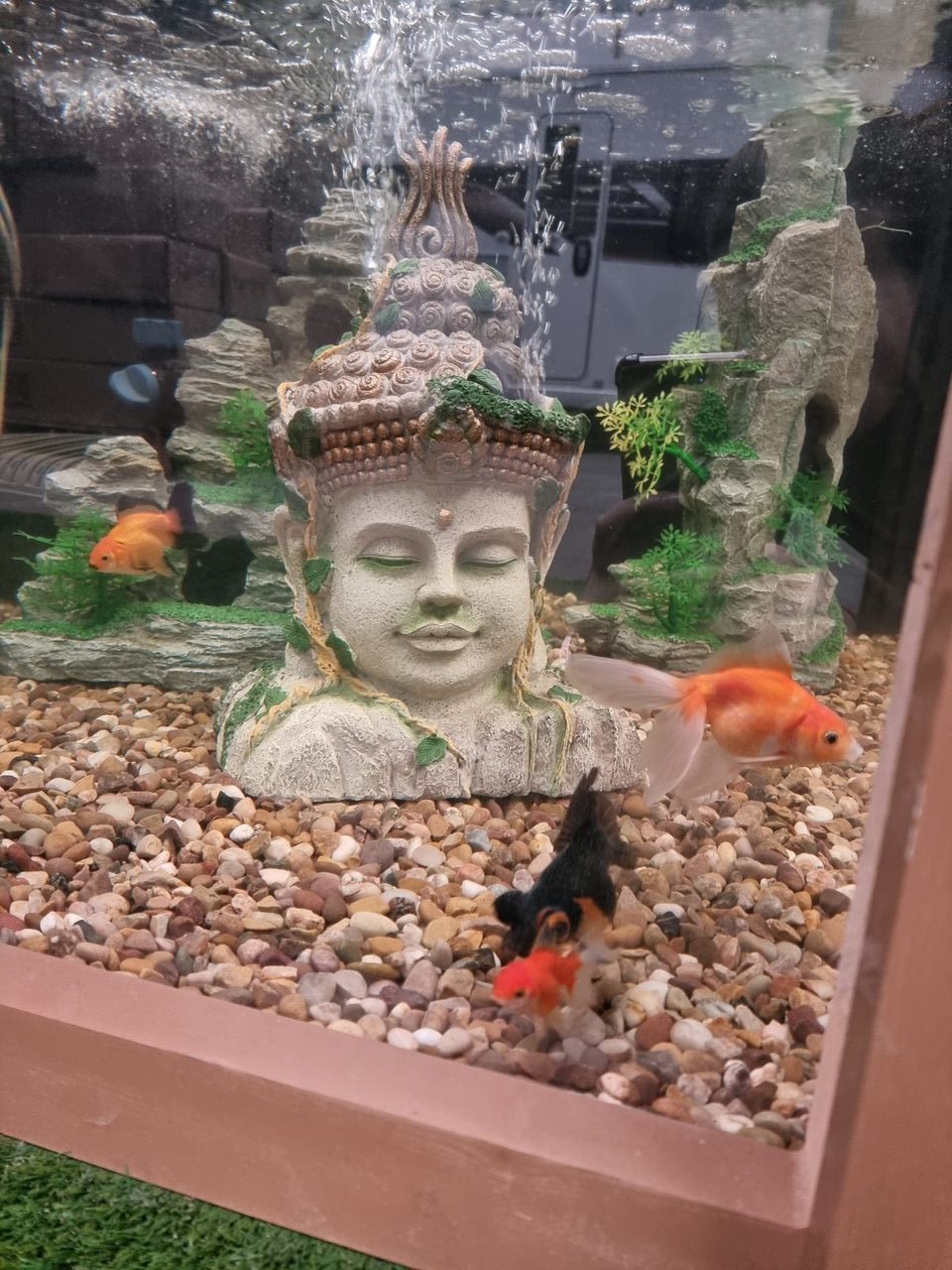 Clear View Garden Aquarium Buddha Etsy