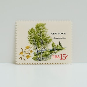 Vintage Unused Stamp - American Trees: Gray Birch - 15 cents
