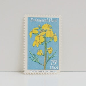 Vintage Unused Stamp - Endangered Flora: Contra Costa Wallflower - 15 cents