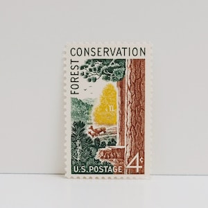 Vintage Unused Stamp - Forest Conservation - 4 cents