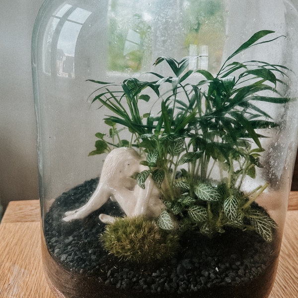 Terrarium Mother Earth