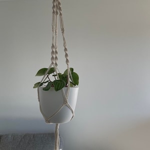 May include: A white macrame plant hanger with a white ceramic pot and a green plant hanging from it.