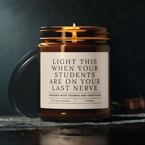 Funny Preceptor Candle Gift for Her or Him, Nurse Preceptor Gift, Nursing Preceptor Gifts, Nurse Practitioner Gift for Woman