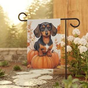 May include: A black and tan dachshund dog sitting on a pumpkin with fall leaves in the background. The dog is wearing a white collar and has a cute expression on its face.