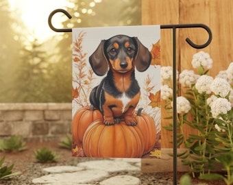 May include: A black and tan dachshund dog sitting on a pumpkin with fall leaves in the background. The dog is wearing a white collar and has a cute expression on its face.