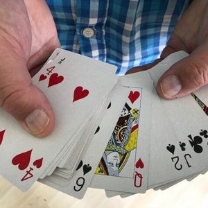 Svengali Deck