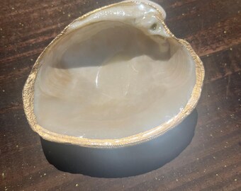 Puede incluir: Una concha blanca con un borde dorado. La concha es lisa y tiene un ligero brillo iridiscente. Es un objeto decorativo que se puede utilizar como un plato para baratijas o un tazón pequeño.