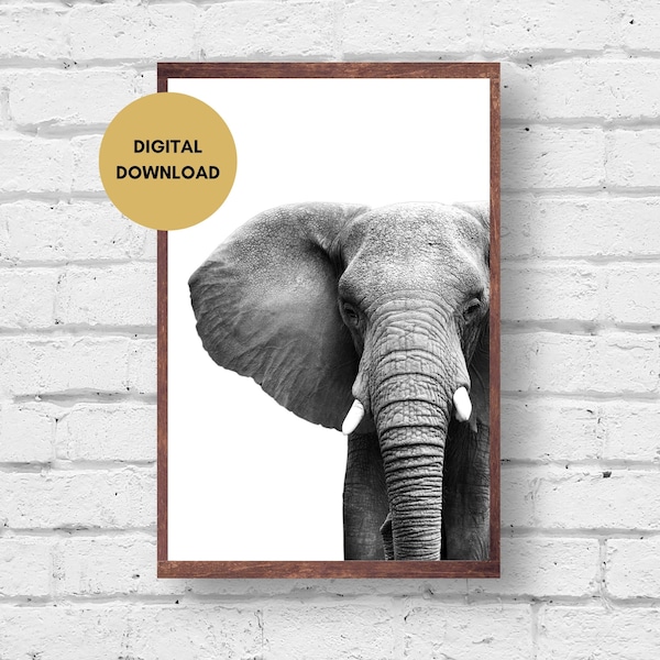Elephant Print Digital Download, Cool Elephant Photo Black and White Printable, Elephant Picture Wall Art, Poster Digital Print, Home Decor